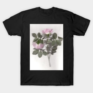 Rosa Canina T-Shirt